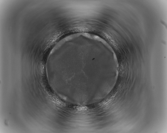 X0000097790355200803281728