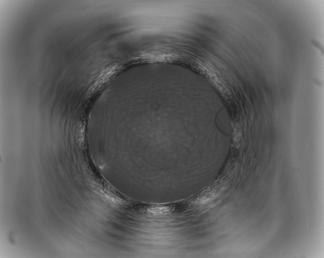 X0000097790357200803281728