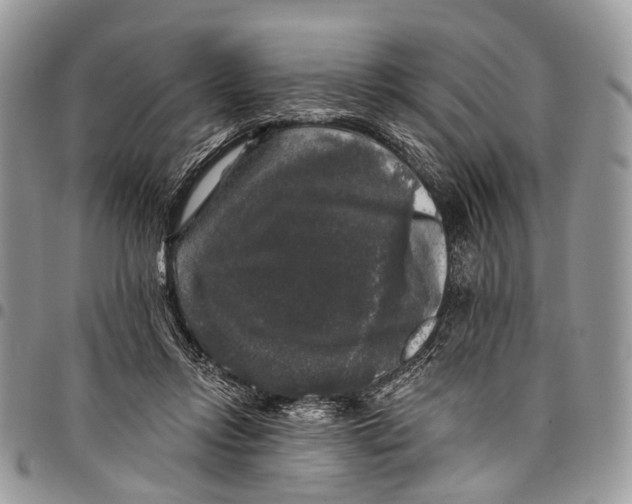 X0000097790358200803281728