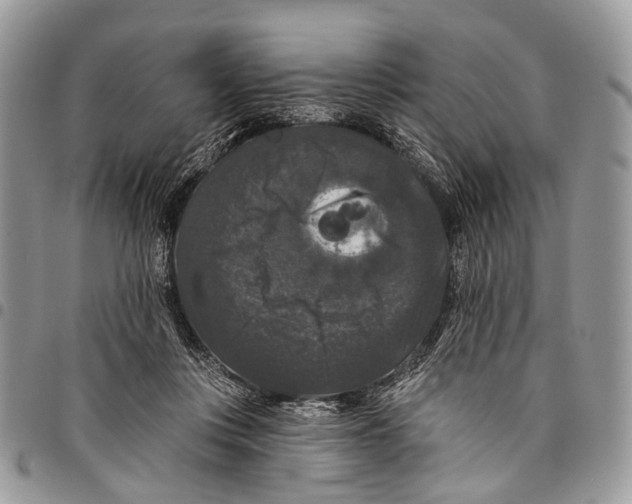 X0000097790359200803281728