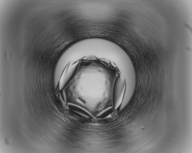 X0000097790360200803281728