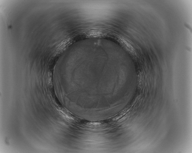 X0000097790361200803281728