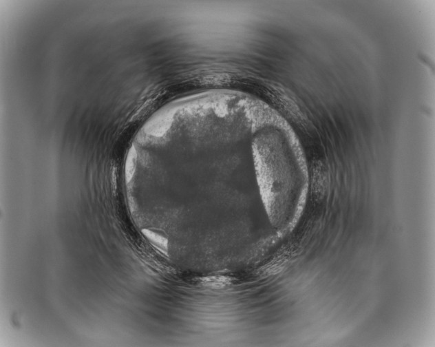 X0000097790363200803281728