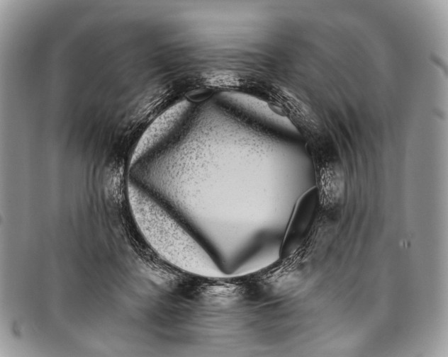 X0000097790364200803281728