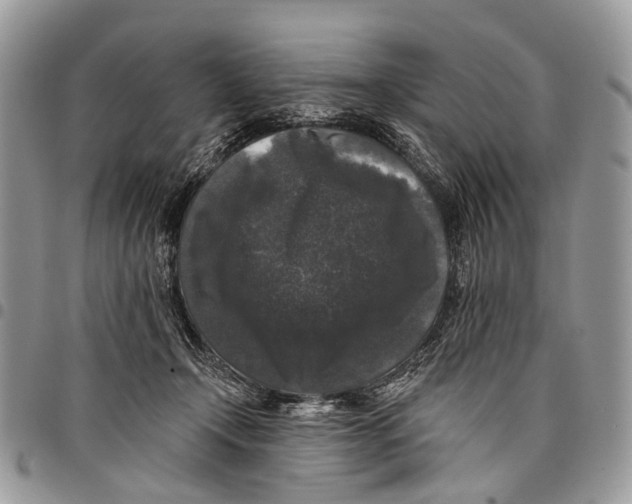 X0000097790366200803281728