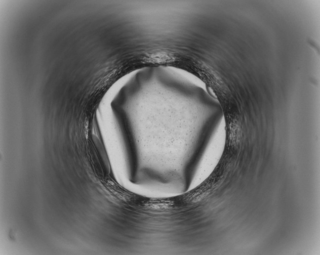 X0000097790368200803281728