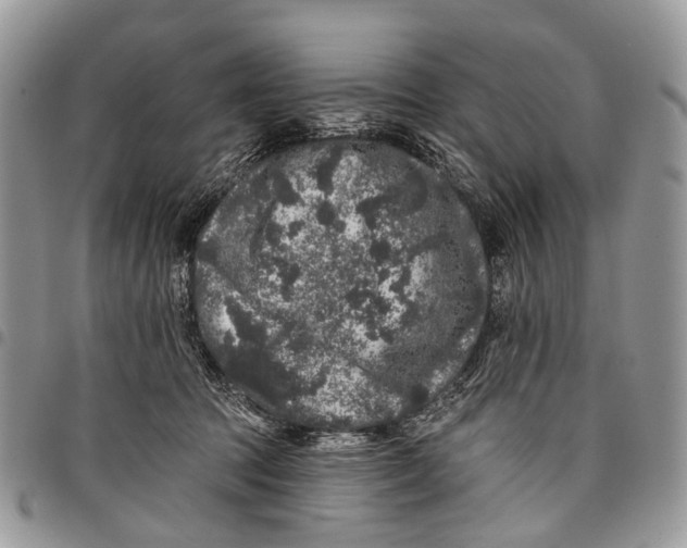 X0000097790369200803281728