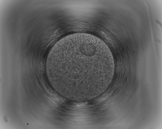 X0000097790370200803281728