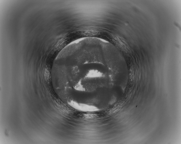 X0000097790371200803281728