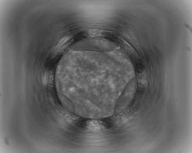 X0000097790372200803281728