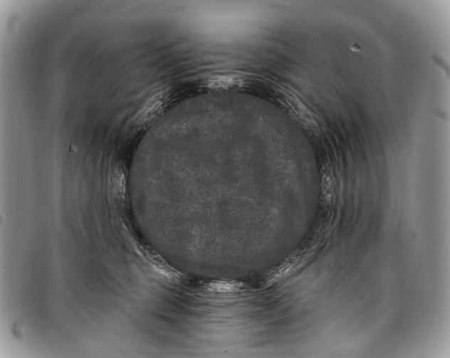 X0000097790375200803281728