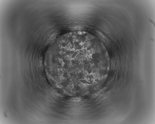 X0000097790377200803281728