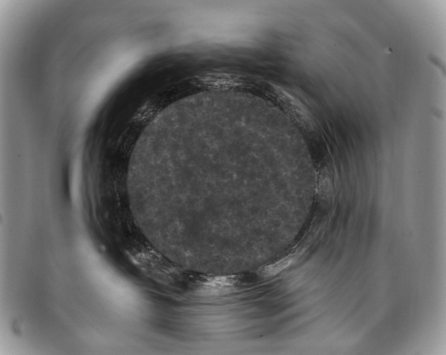 X0000097790382200803281728