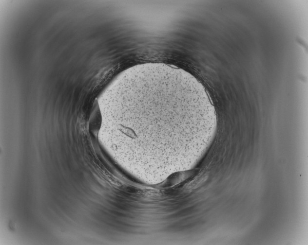 X0000097790384200803281728
