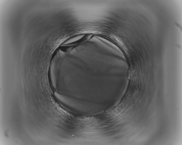 X0000097790385200803281728