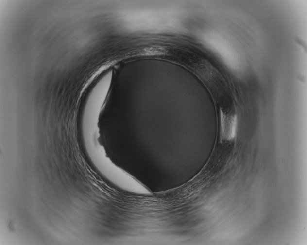 X0000097790387200803281728