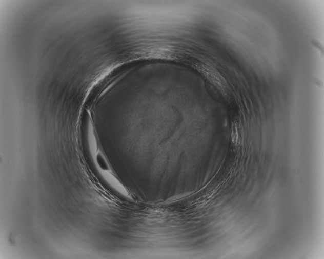 X0000097790388200803281728