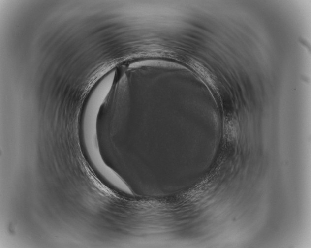 X0000097790389200803281728