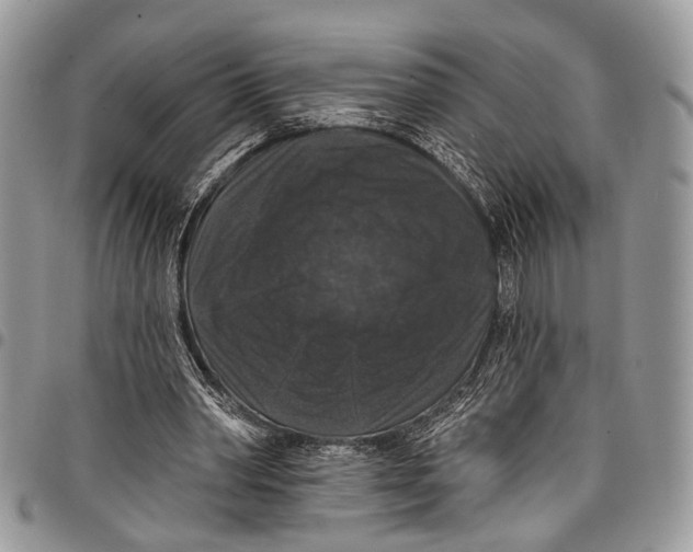 X0000097790390200803281728