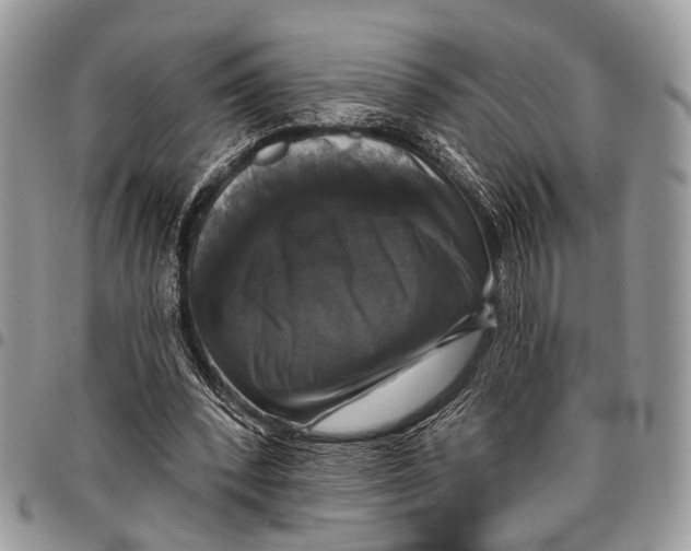 X0000097790392200803281728
