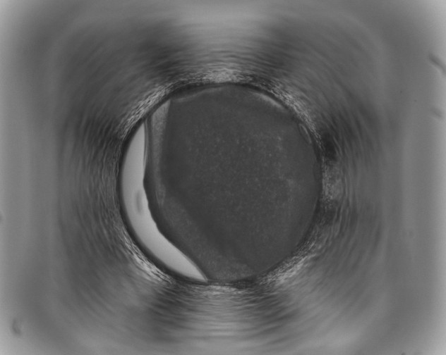 X0000097790393200803281728