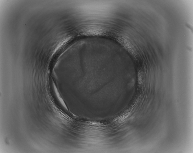 X0000097790396200803281728