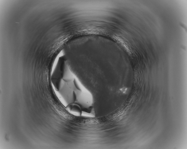 X0000097790398200803281728