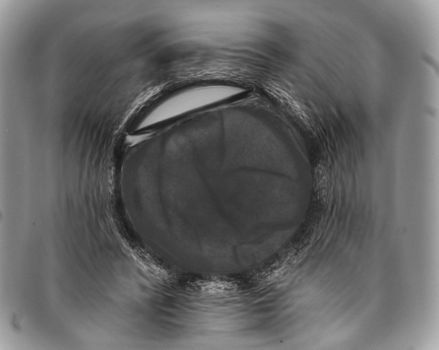 X0000097790400200803281728