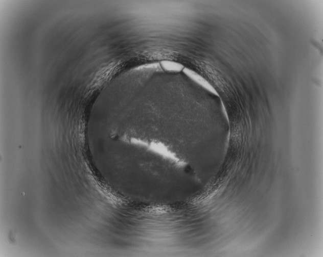 X0000097790402200803281728