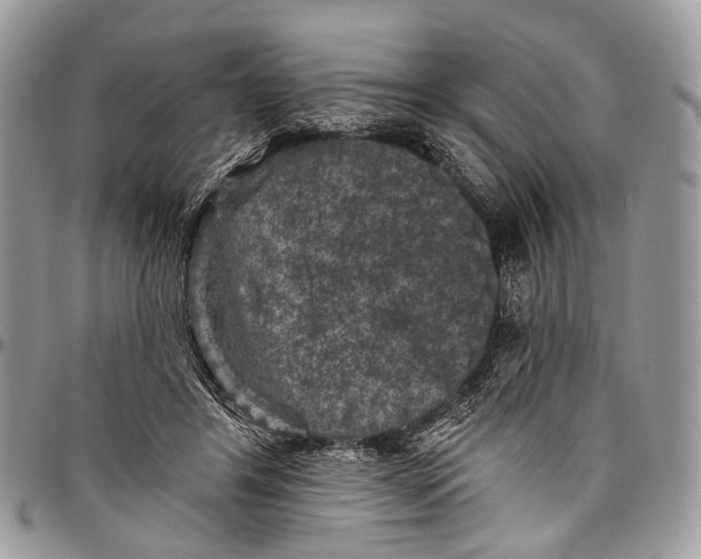 X0000097790404200803281728