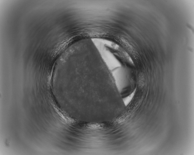 X0000097790405200803281727