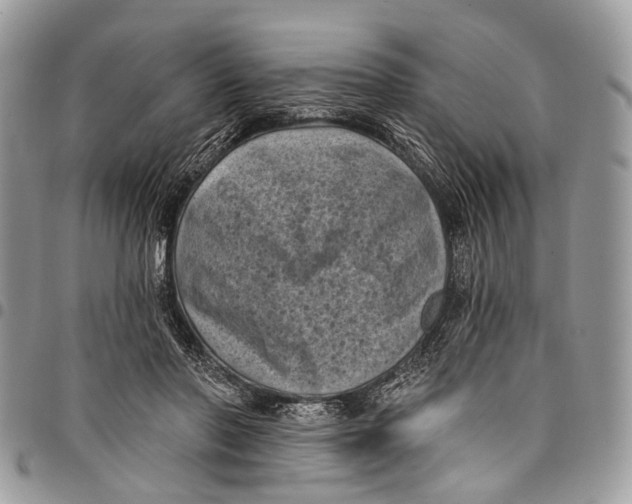 X0000097790406200803281727