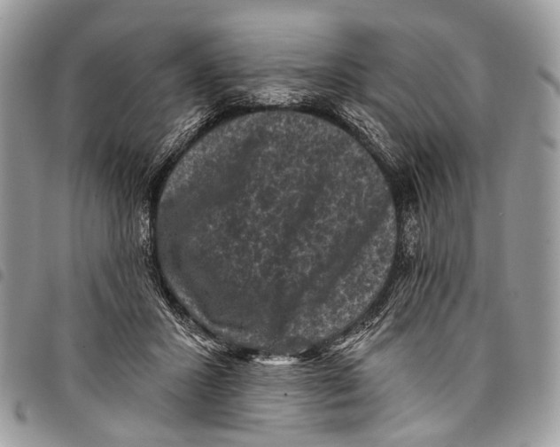 X0000097790407200803281727