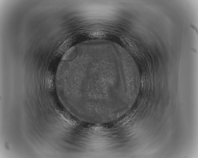 X0000097790408200803281727