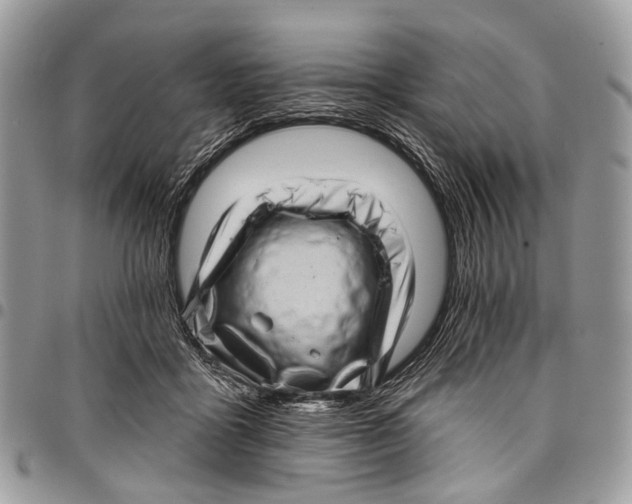 X0000097790411200803281727