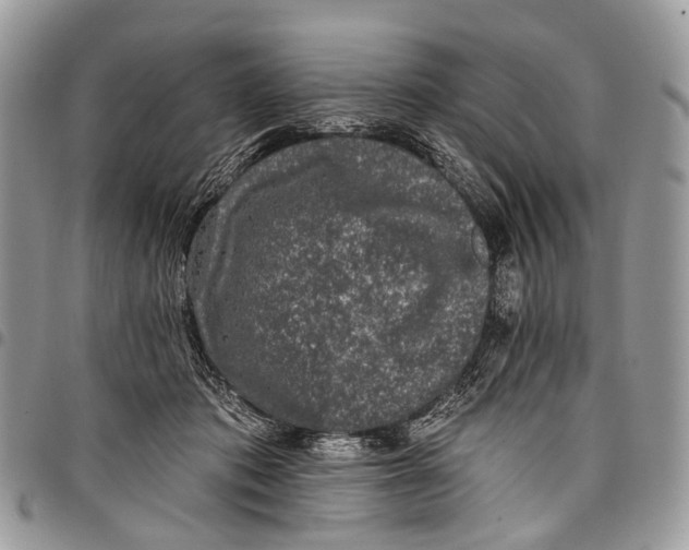 X0000097790413200803281727