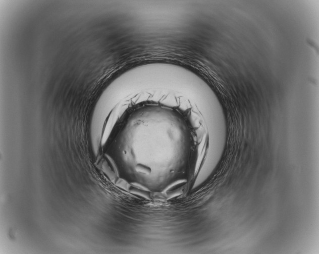 X0000097790415200803281727