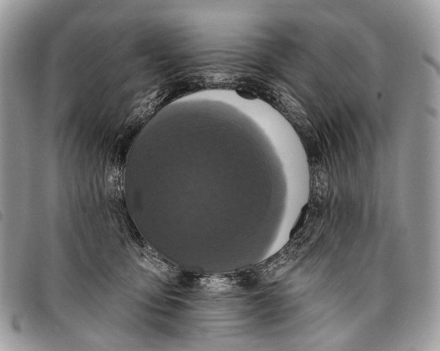 X0000097790419200803281727