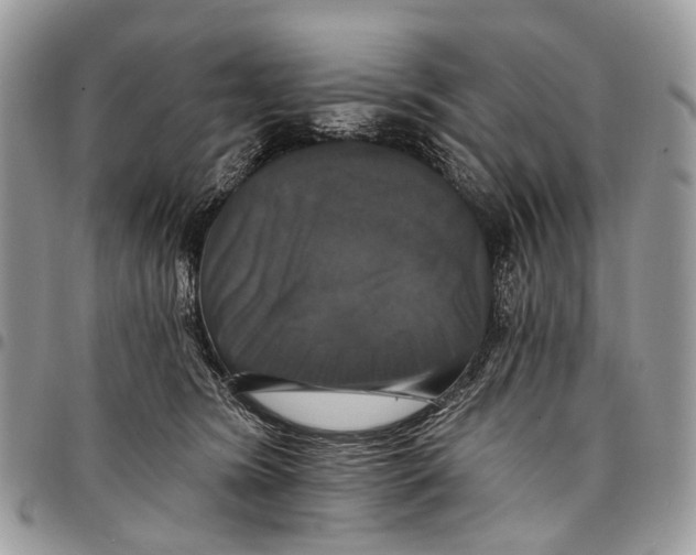 X0000097790420200803281727
