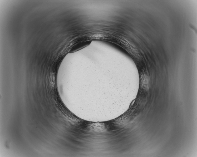 X0000097790421200803281727
