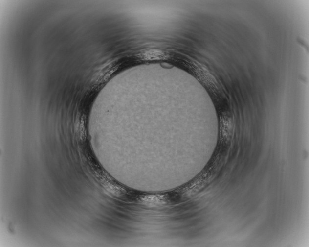 X0000097790422200803281727