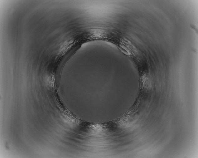 X0000097790423200803281727