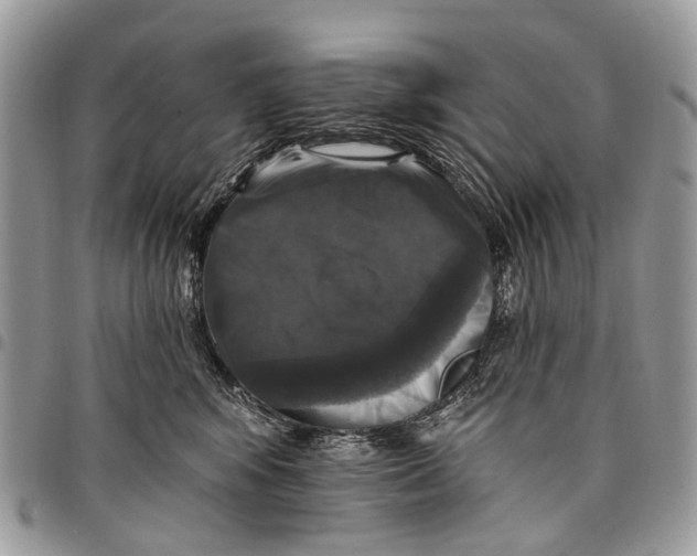 X0000097790424200803281727