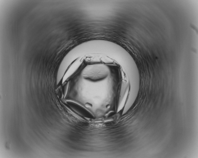 X0000097790427200803281727