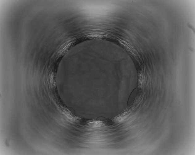 X0000097790428200803281727