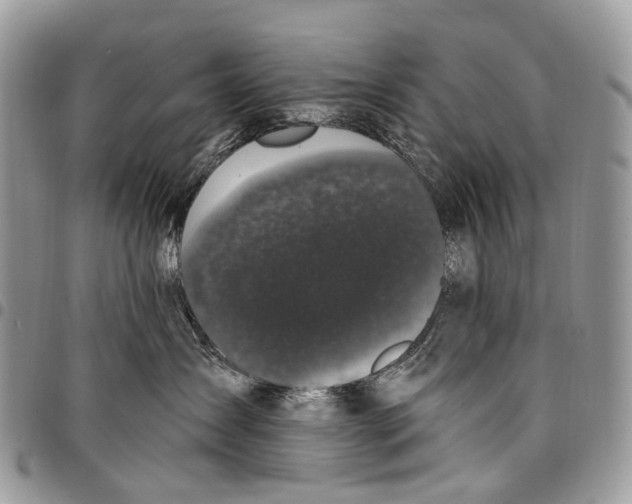 X0000097790431200803281727