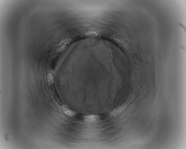 X0000097790432200803281727