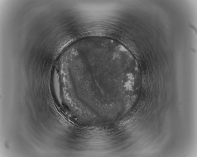 X0000097790434200803281726