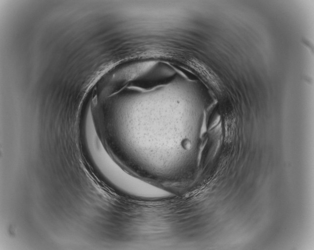 X0000097790436200803281726