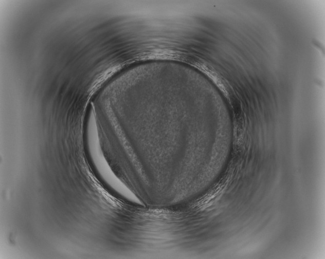 X0000097790437200803281726